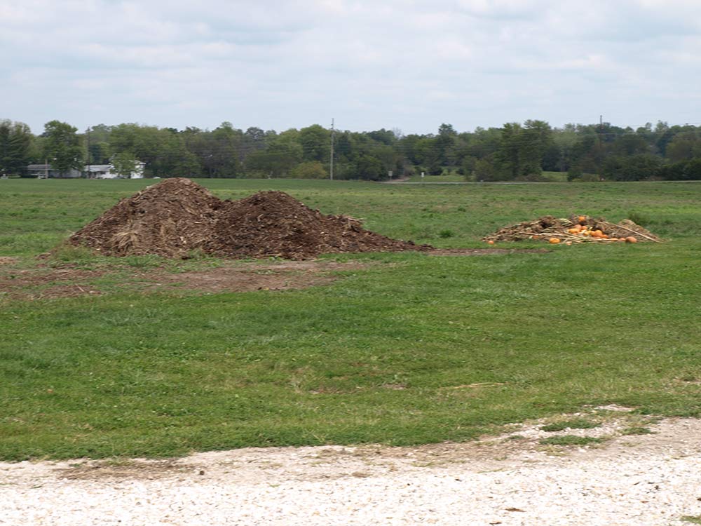 compost piles